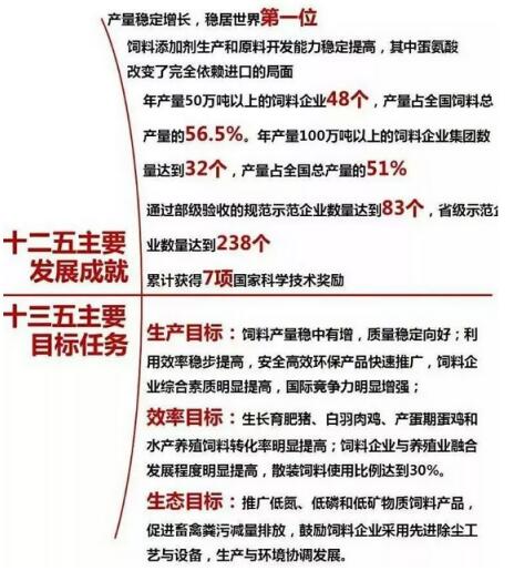 探索新澳门未来，2025年的新澳门天天开彩与狼奔释义的落实