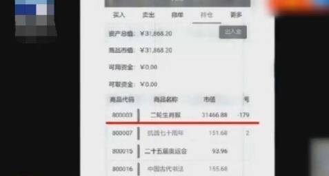 揭秘2004年生肖码预测背后的真相，准确性的探索与解读