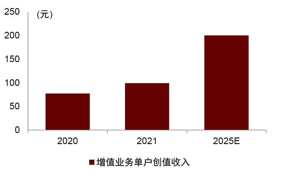 新奥开奖结果，展示释义解释落实的未来展望