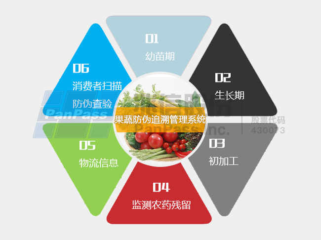 澳门管家婆一码一肖——产品释义、解释及落实