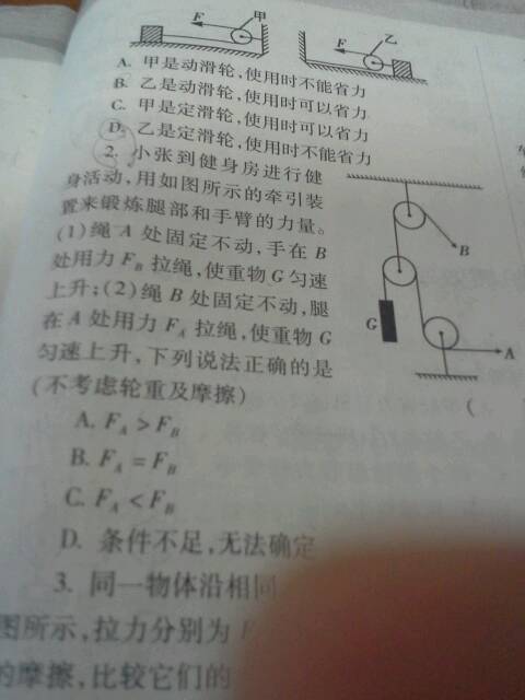 解析数字背后的决策艺术，王中王中特决策释义与落实之道