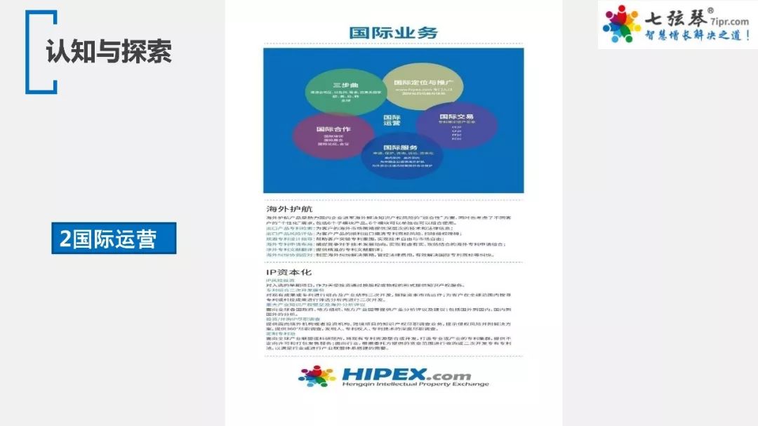 探索金龙彩资料版，网络释义的深入解释与落实