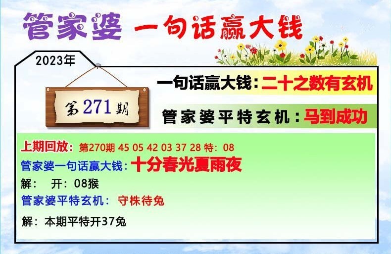 新管家婆一肖六码，明确释义、解释与落实