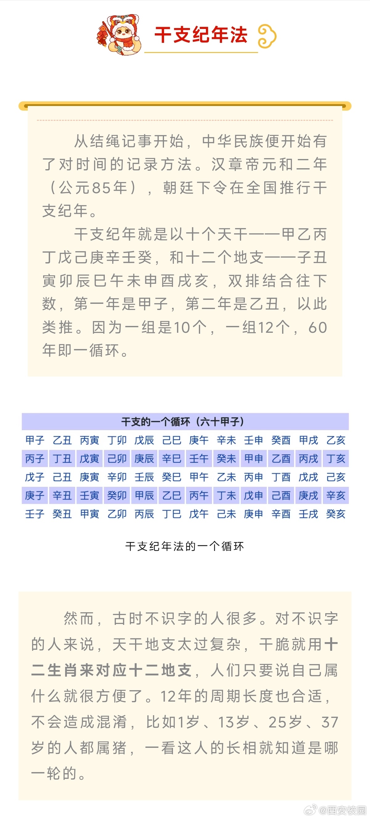 关于一肖一码与文化的深度解读与精准释义落实