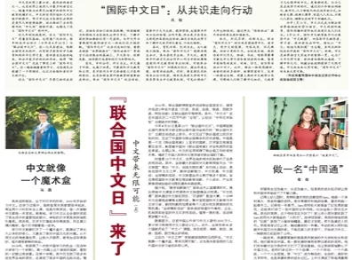 关于新奥精准版资料的讨论，释义、解释与落实