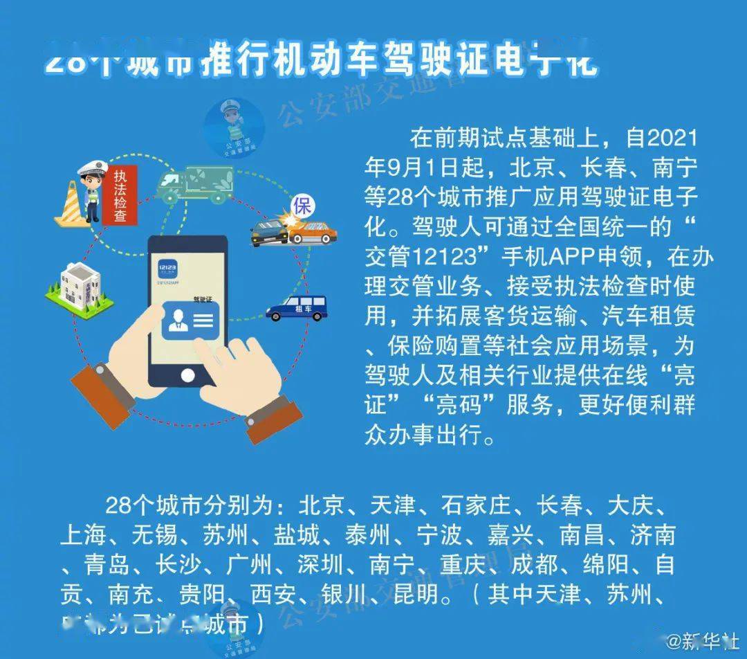 澳门最精准策略与龙门蚕，商策释义、解释及落实的重要性