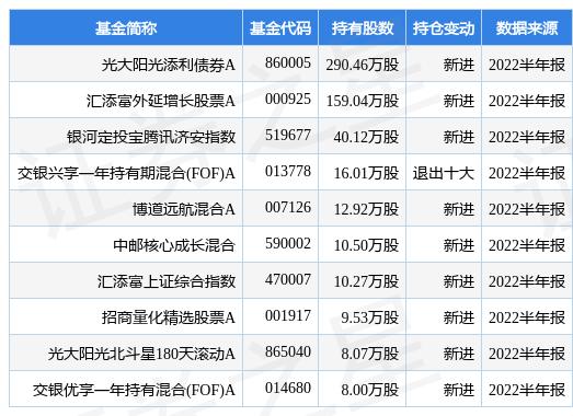 免费资料大全新澳内部资料精准大全与股东释义解释落实深度解析